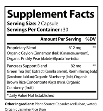 Pancreas Support Plus